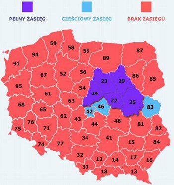 "Internet bez zobowiązań" dla klientów TP od eTOP-u