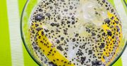 Chia fresca – zdrowe ochłodzenie