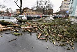 Drzewo runęło na autobus. Silne wiatry w całej Polsce