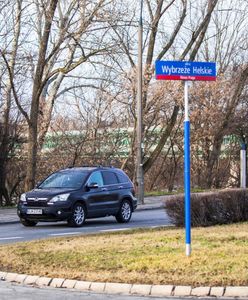 Sondaż wśród warszawiaków nt. wycinki drzew. Dbamy o przyrodę?