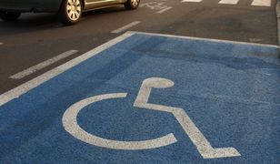 "Mandacik właśnie się pisze". Samochód zaparkowany na dwóch kopertach pod siedzibą ZDM