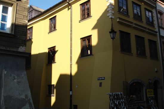 Obraz