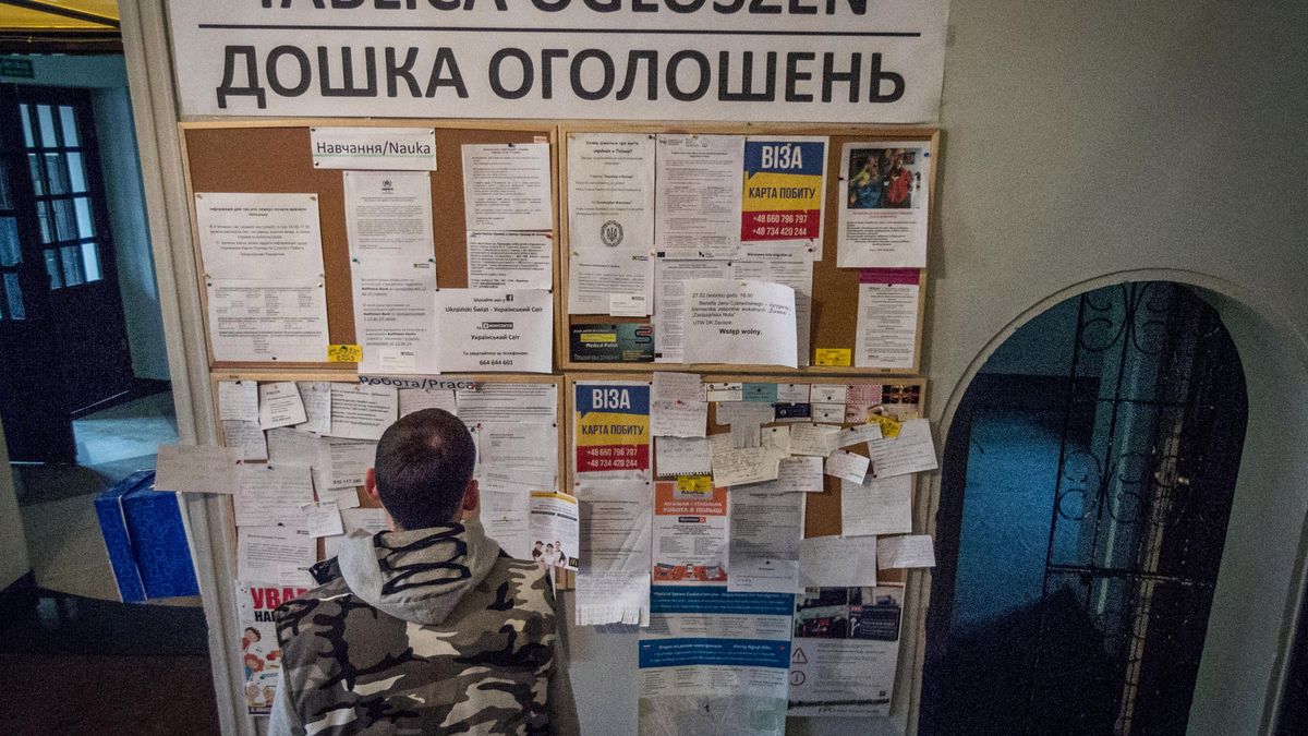 Ukraińcy w Polsce zarabiają coraz lepiej. 2500 zł na rękę to standard.