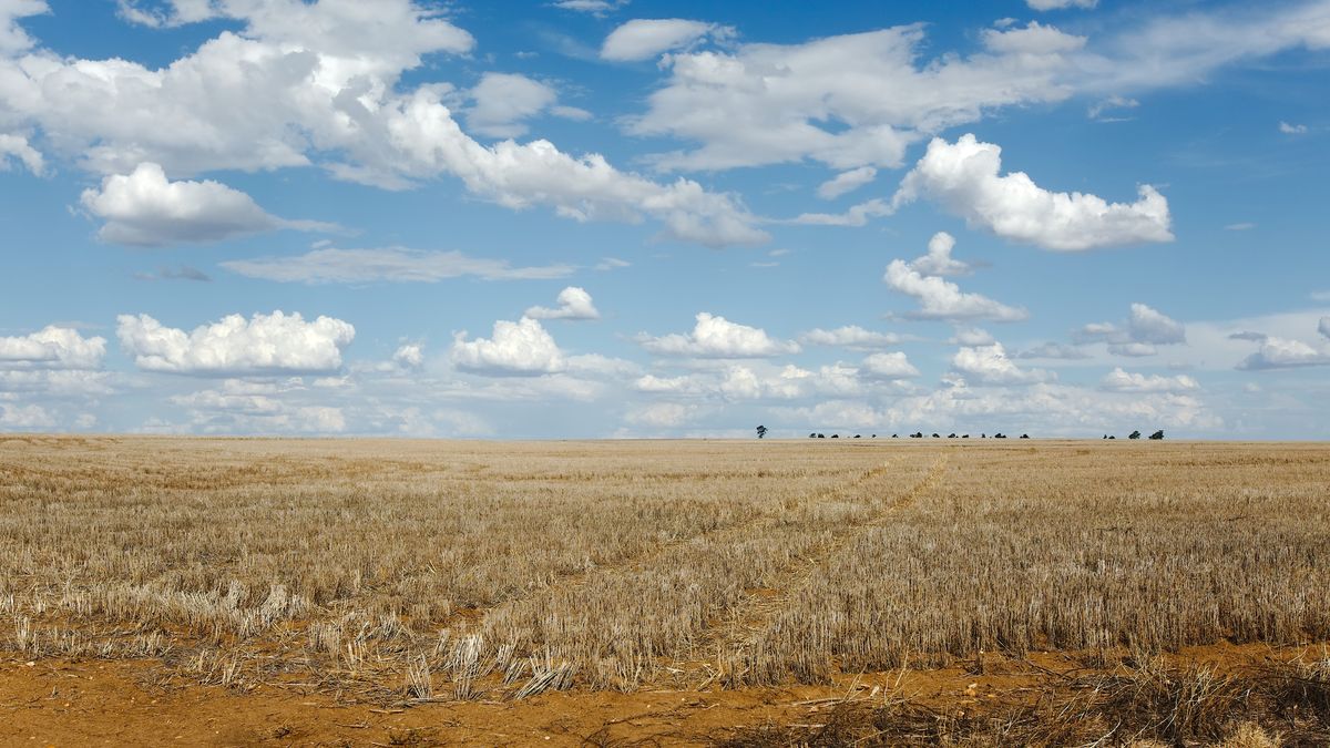 Od kilku lat obserwujemy zmiany w klimacie, które wiążą się z koniecznością likwidacji skutków dokuczliwych upałów i suszy - alarmuje NIK