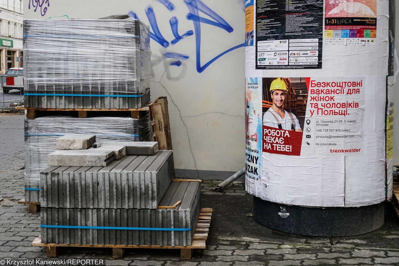 Brexit przytrzyma Ukraińców w Polsce. Nie wyjadą na Zachód