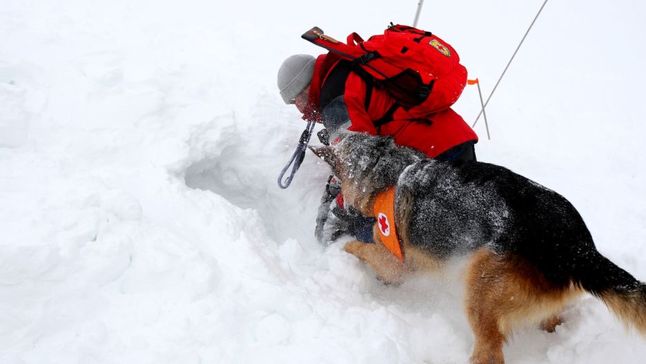 Lawina porwała turystę w rejonie Doliny Młynickiej (zdjęcie ilustracyjne)