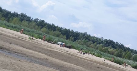 Plaża dla nudystów w Warszawie. Byliśmy tam. W weekend jest tu ponad 200 osób