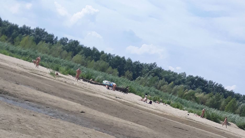 Warszawska plaża nudystów
