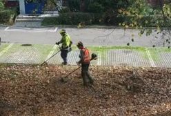 Kosili liście kosiarkami. Resztki zalegają do dziś