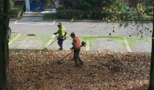 Kosili liście kosiarkami. Resztki zalegają do dziś