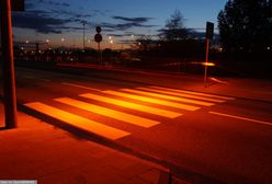 Wielkopolska. Zabiła 8-latkę na pasach. Usłyszała zarzuty