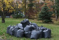 Jesienne prace w ogrodzie: nie zawsze wolno spalać liście. Kara to nawet 5 000 zł