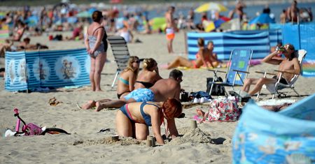 Rottweiler pogryzł dziecko na plaży. Właścicielki psa były agresywne