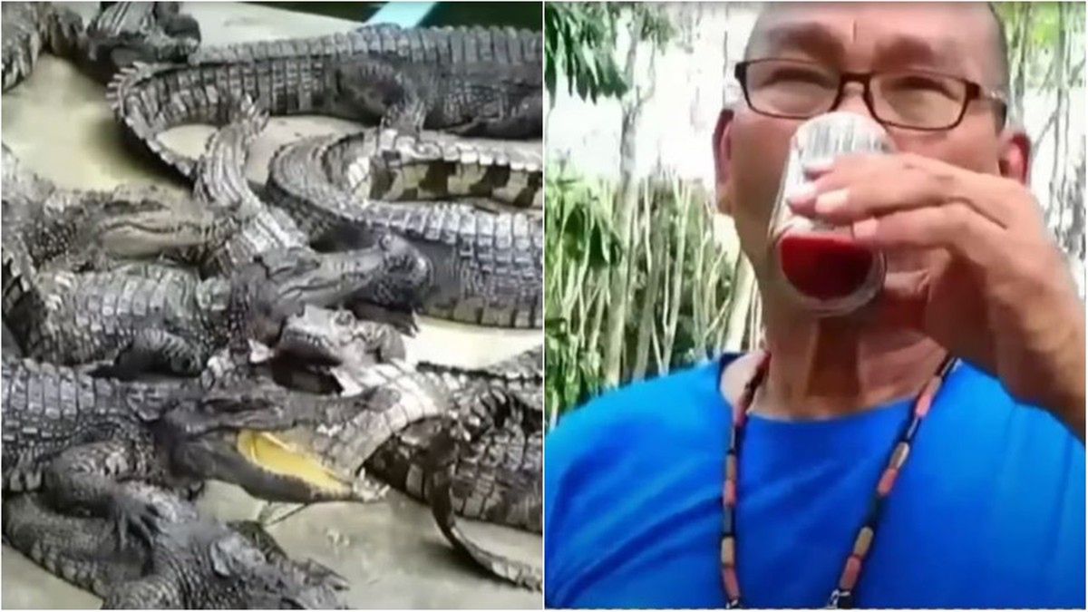 Eliksir młodości. Źródło: The Thaiger