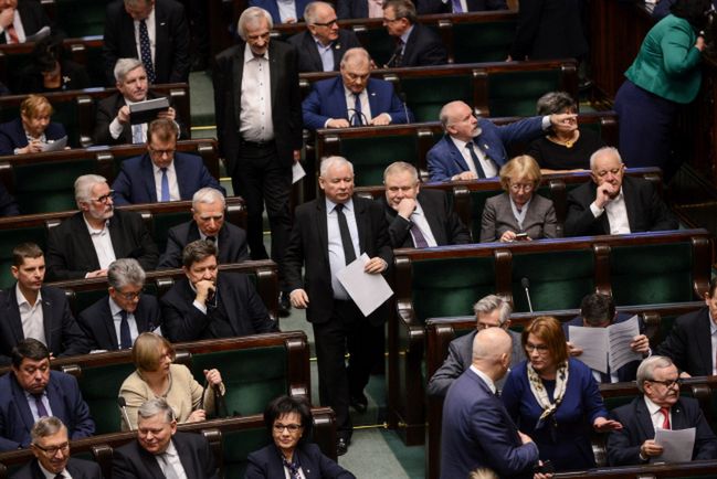 "Miłość do zwierząt wzięła górę". Sejm zaostrzył kary za znęcanie się nad zwierzętami