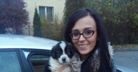 Mały piesek wrócił do właściciela