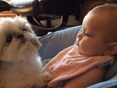 Wielka miłość psa i dziecka