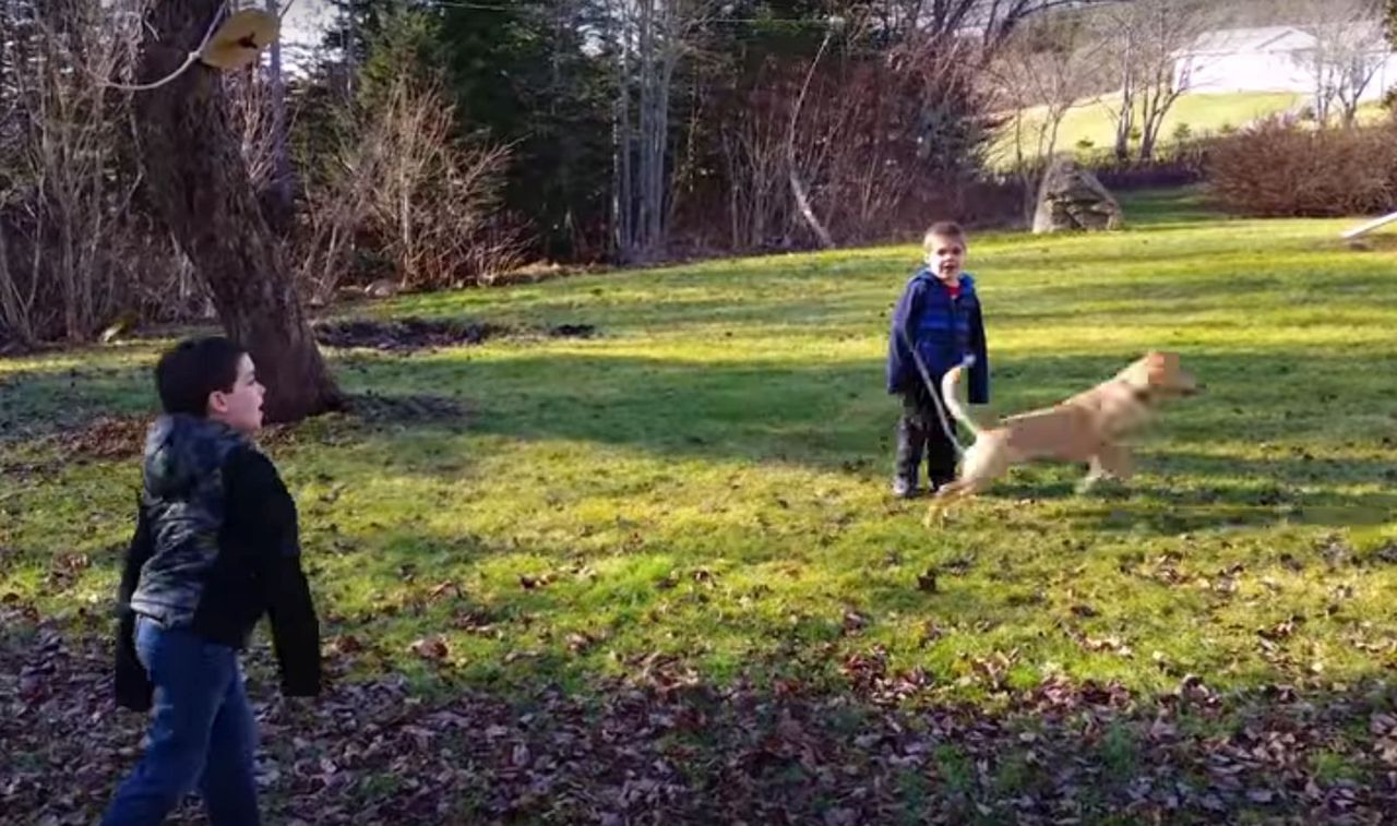 Oto dzieciaki, które podpadły zwierzakom. Zemsta była słodka!