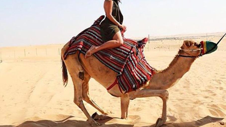 Polskie celebrytki zarabiały 500 euro za jeden dzień