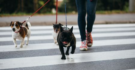 Spacer a odchudzanie - korzyści płynące z chodzenia