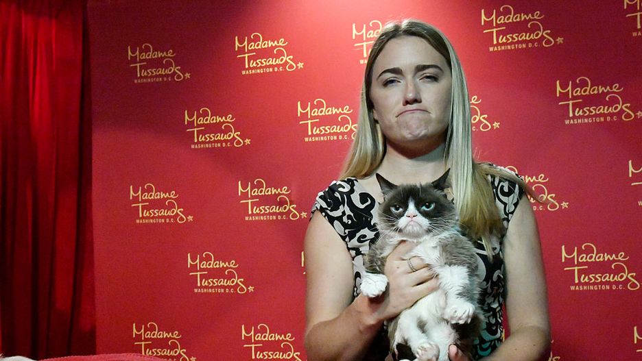 Tabatha Bundesen i Tadar Sauce, czyli Grumpy Cat
