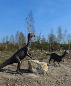 Wypadek w parku Geosfera. Mężczyzna spadł z wysokości 20 metrów