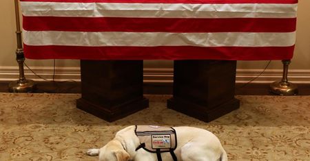 Pies George'a H.W. Busha ma nową misję. Sully został zaprzysiężony