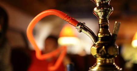 Arabska firma produkuje pod Warszawą tytoń. Pomogła jej państwowa agencja
