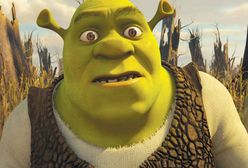 Program TV na niedzielę – "Infiltracja", "Shrek Trzeci" i "Generał Nil" [24-02-2019]