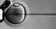 "To legalizacja eugeniki" - ostro o ustawie ws. in vitro
