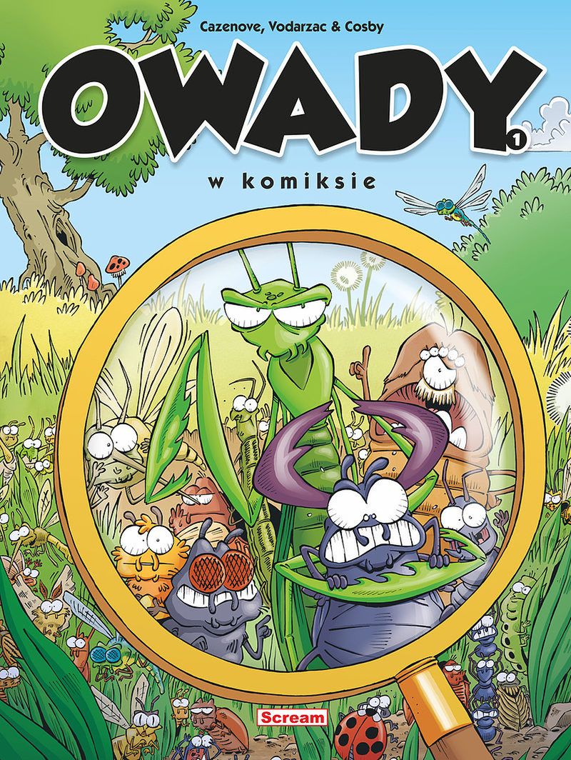 Obraz