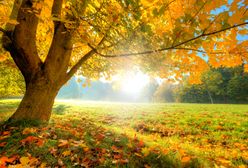 Pogoda na dziś - 27 września. Będzie ciepło