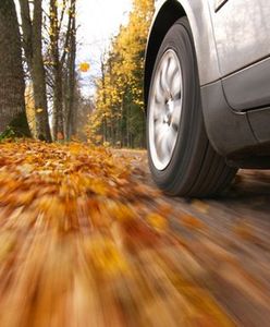 Jesień zastawia na kierowców wiele pułapek