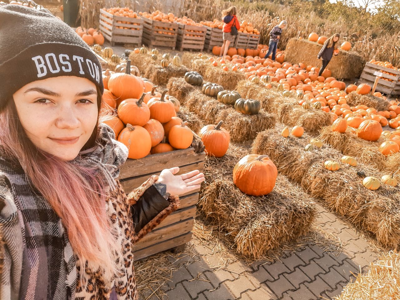 Farma Dyń. Atrakcja dla dzieci i plener fotograficzny dla jesieniar