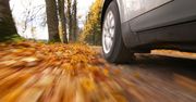 Jesień zastawia na kierowców wiele pułapek