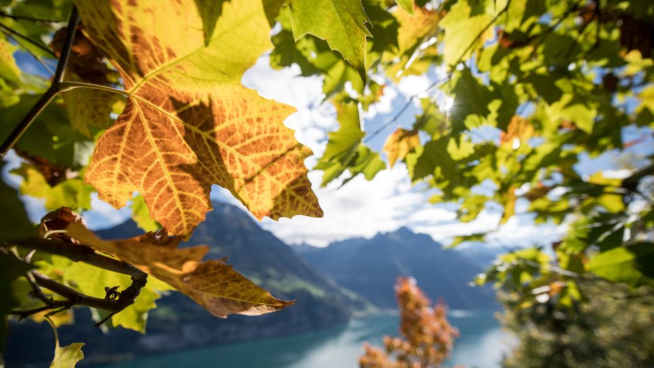 Jesień powoli nadchodzi do Polski