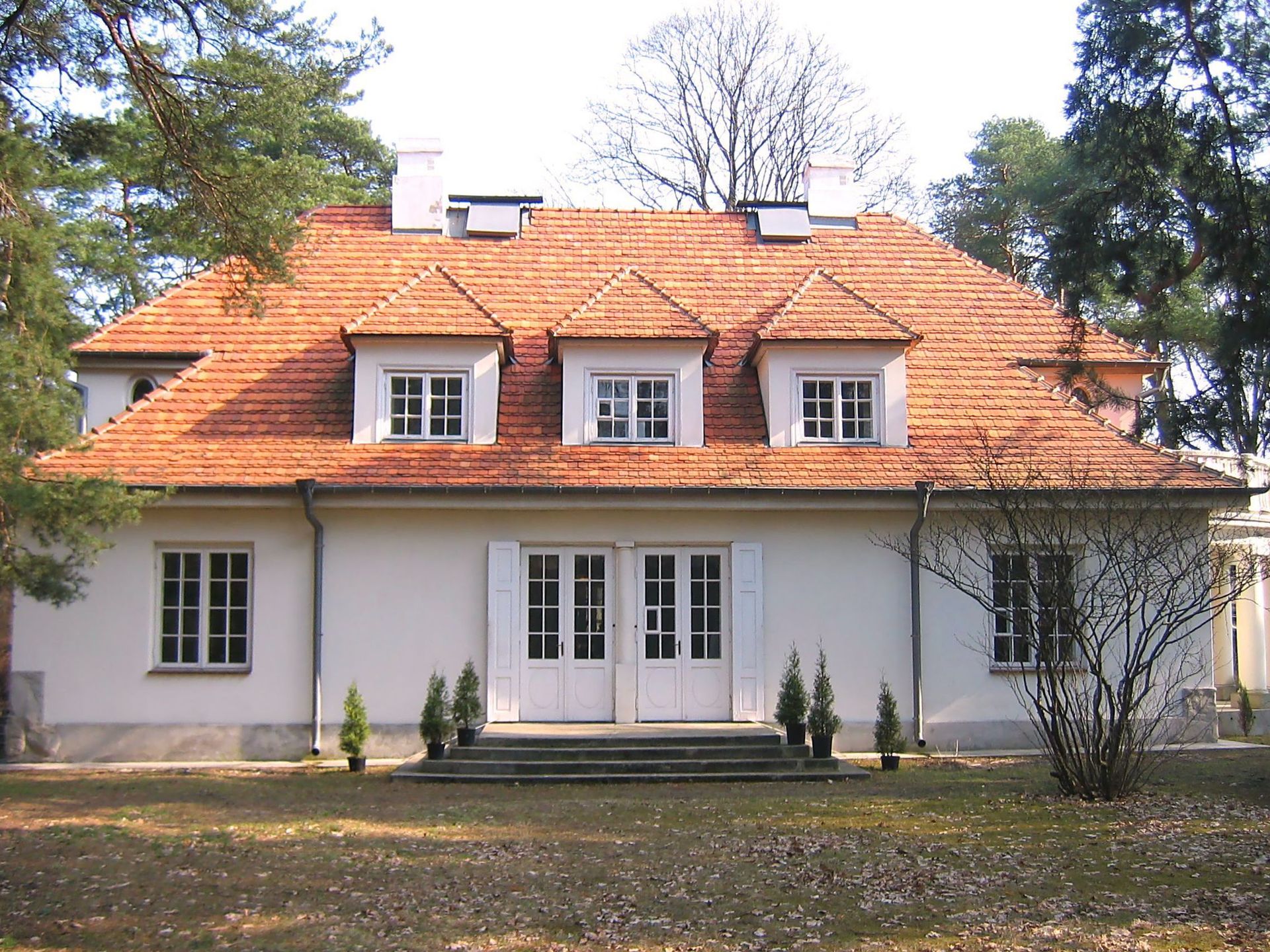 Obraz