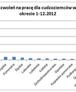 Najwięcej zezwoleń na pracę w Polsce mają Ukraińcy
