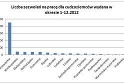 Najwięcej zezwoleń na pracę w Polsce mają Ukraińcy