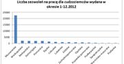 Najwięcej zezwoleń na pracę w Polsce mają Ukraińcy