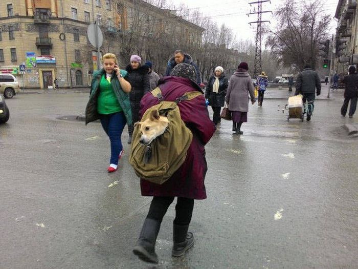 Luksusowa podróż