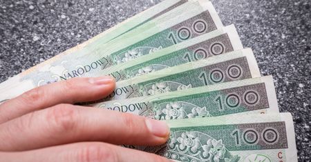 Ilu mamy samozatrudnionych, ilu Polaków pracuje za najniższą krajową? GUS podał dane za 2018 r.