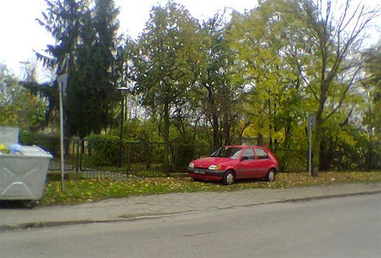 Obraz