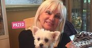 Bożena z "Sanatorium miłości" sprawiła sobie młodzieżową fryzurę. Szalona metamorfoza wyszła jej na dobre