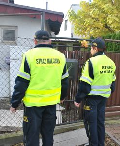Ruszają zmasowane kontrole prywatnych nieruchomości. Strażnicy miejscy przetrzepią nawet śmieci na podwórku