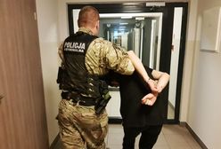 Z butelkami i nożami na policjantów. Czterej bracia w areszcie