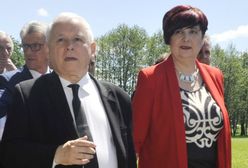 Polskie grzyby dla Polaków. Posłanka PiS Krystyna Wróblewska chce walczyć z "zagraniczną mafią"