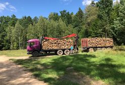 Komisja Europejska: polskie władze naruszyły zakaz wycinki w Puszczy Białowieskiej