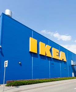 Ikea 2020- nowy katalog. Jak go otrzymać? Już nie dostaniemy katalogu do domu