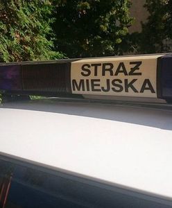Naga para nakryta w aucie. Mandat jednak nie za seks